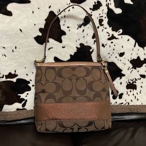 Brown Coach Single Strap Bag